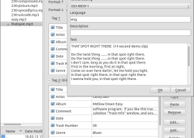 Kid3 - ID3 tag editor for MP3, OGG/Vorbis, FLAC - Windows 8 Downloads