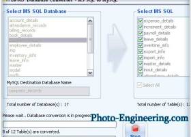 Convert MSSQL Database To MySQL screenshot